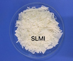 SLMI画像